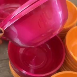 9” Souvenir bowl
